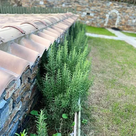 Agrielia Seafront Katigiorgis, Agios Georgios, Pelion Guest house *